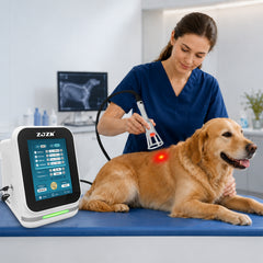 ZJZK 45W Class 4 Laser Therapy System for Human, Dog and Horse Rehabilitation